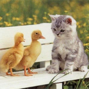 Aisyah Fatinah Zahra profile icon