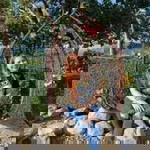 Yna Abias Agpoon Dino profile icon