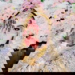 Nurin AL Yanni profile icon