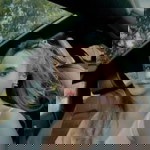 Kanniya Narongwatcharakit profile icon