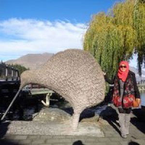 Dian Mayasari profile icon