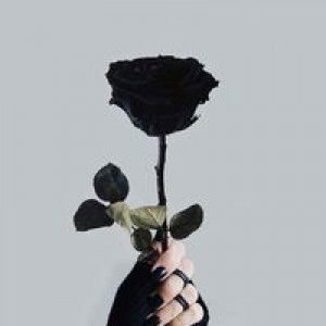 Maya Nuriana profile icon