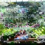 Marselina Sally Sofyan profile icon