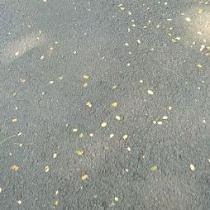 Winda sri Purba profile icon