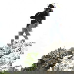 Irene Anggraeni profile icon