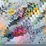 Fia Alfia profile icon