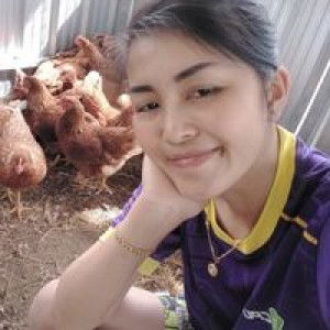 Tipkasorn Tapprasit profile icon