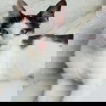 Gerrard Divario profile icon