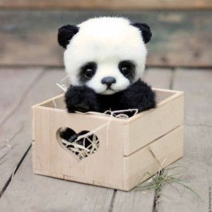 bopha thachthi profile icon