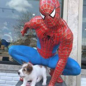 Nakorn Baudee profile icon