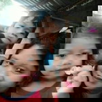 Merasol Daguro Pillorato profile icon