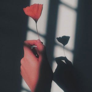 Salsa Bila profile icon