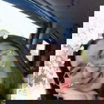 Gift Hathaithip profile icon