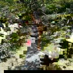 บูล เกอร์ profile icon