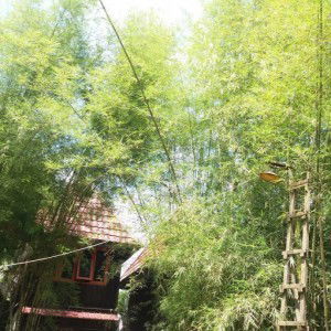 Annisa Mm profile icon