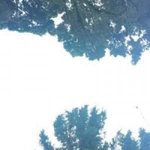 Cupu Manik Astagina profile icon