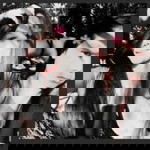 Jenny Mae Pamo Cambay profile icon