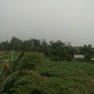 Ummu Nusaibah Dan Yahya profile icon