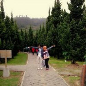 Lusy Fauzi profile icon