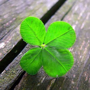 asti widya profile icon