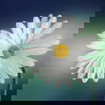 Yuyun Tri Mulyani profile icon