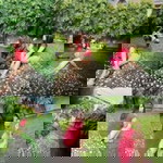 Pat Linco profile icon