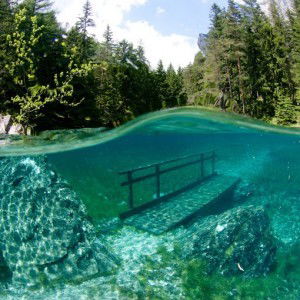 Fiqahfifi93@yahoo.com afiqah profile icon