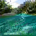 Fiqahfifi93@yahoo.com afiqah profile icon