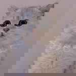 Quyên Emm profile icon