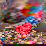 indri Ariani profile icon