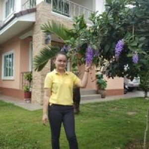 Yaya Yaya Nittaya profile icon