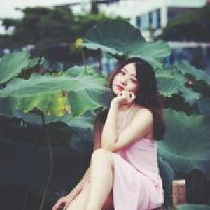 Thu Vũ profile icon