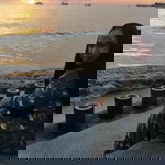 Myrn E. Said profile icon