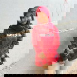 Nurcahya Icha profile icon