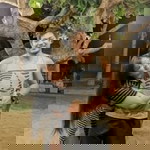 Chreziel Mercado Jr - Molina profile icon