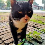 Noredi Noredi profile icon
