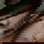 จั่น เจา profile icon