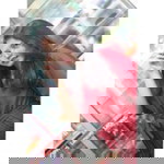Litha Asteria Waty profile icon