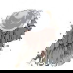 Cingu Bear profile icon