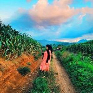 Lelly Afandi profile icon