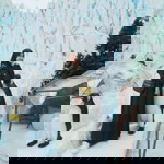 Kamelia II profile icon