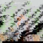 Dandy Permana Sukmapratama profile icon