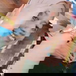 Ulya Bakti Sugesti profile icon