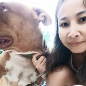 ส้ม ลลนา profile icon