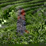 Sasitorn Saenmueangma profile icon