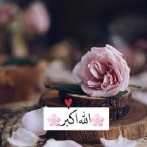 Utti Anisah Nur Azizah profile icon