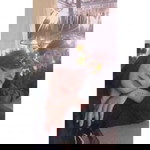 Benchawan Panmisit profile icon