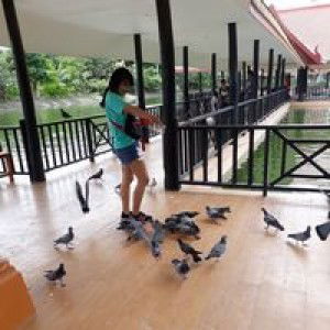 Rungornrasmi profile icon