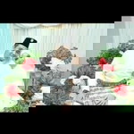 Eyra Shira profile icon