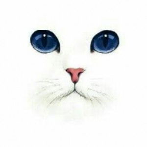 anandya ratvika sari profile icon